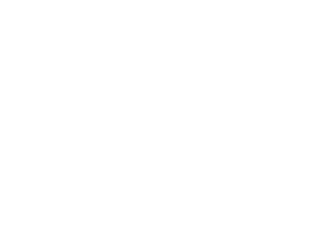 WES Logo White